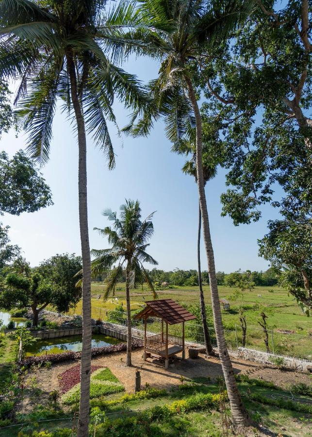 Casa Kandara Waingapu Esterno foto